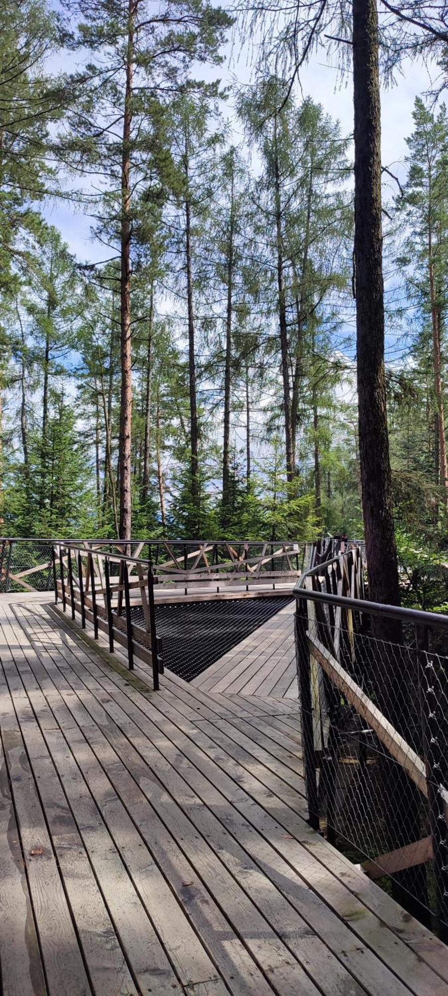 Chwile W Starym Saczu, Sauna I Beczka Villa
